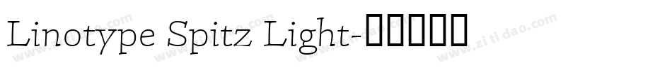 Linotype Spitz Light字体转换